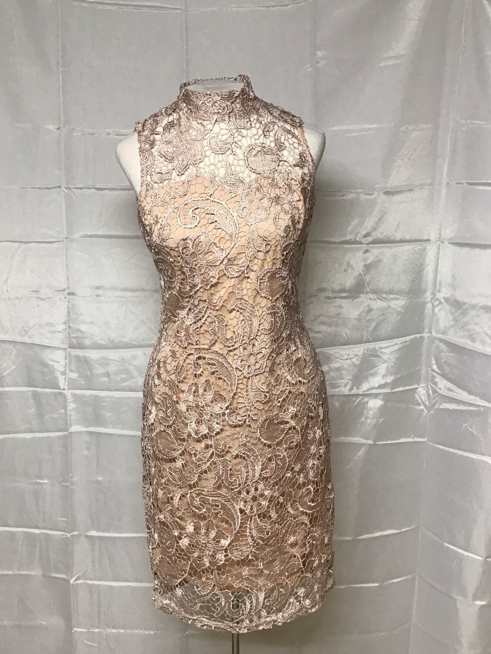 Dress the Population dupe Champaign Mock Neck Lace Overlay Sheath Dress Medium